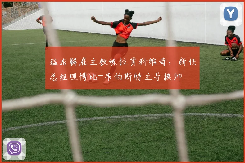 猛龙解雇主教练拉贾科维奇，新任总经理博比-韦伯斯特主导换帅